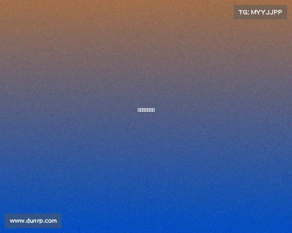 搏击比赛分几种